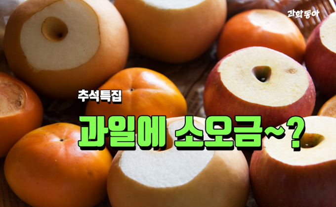 (주)동아사이언스 제공